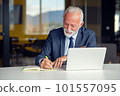 Handsome smiling senior man while sitting at his cozy workplace with laptop at home, retired male chatting with friends in social media, 101557095