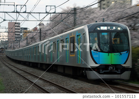 [SS] Seibu Shinjuku Line 40000 Series Haijima Liner in Spring (Evening - Downbound Train) 101557113