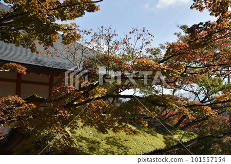 Kurama-dera Momiji in front of Tenhorindo Kurama-dera Momiji in front of Tenhorindo 101557154