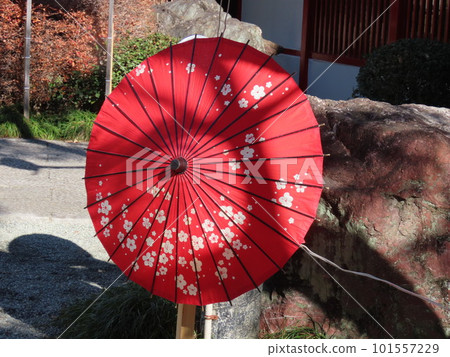 有梅花的明亮的紅色日本傘 有梅花的明亮的紅色日本傘 101557229