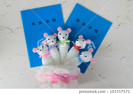 家庭養老手冊,(未來退休後的養老金,投資ideco,少子老齡化的社保問題) 家庭養老手冊,(未來退休後的養老金,投資ideco,少子老齡化的社保問題) 101557572