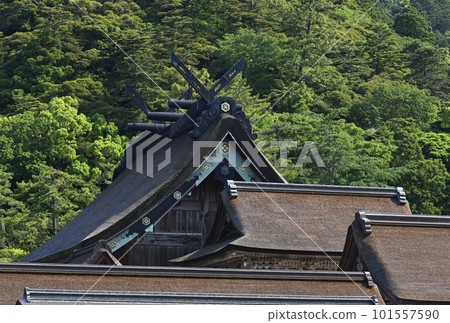 Izumo Taisha Izumo Taisha 101557590