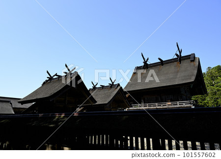 出雲大社 101557602