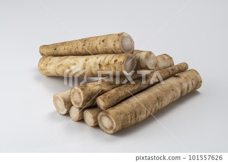 Fresh and delicious cut burdock Fresh and delicious cut burdock 101557626