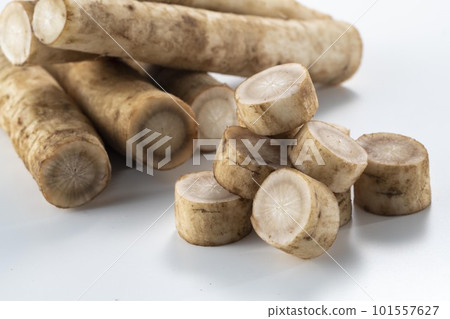 Fresh and delicious cut burdock Fresh and delicious cut burdock 101557627