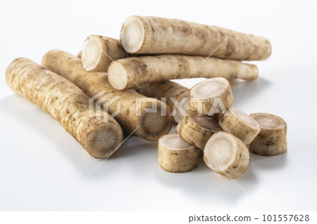 Fresh and delicious cut burdock Fresh and delicious cut burdock 101557628