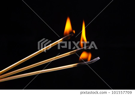 Burning wood match on a dark background close-up. burning tree fire Burning wood match on a dark background close-up. burning tree fire 101557709