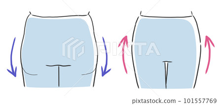 Illustration material of square buttocks and round buttocks 101557769