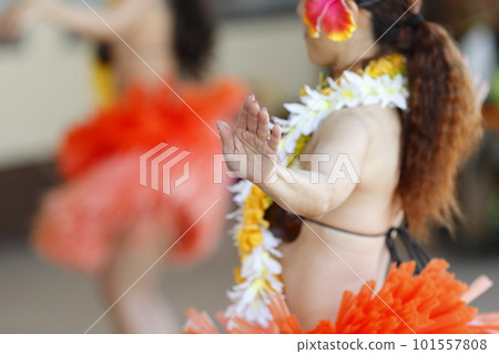 Female hands dancing Tahitian dance Female hands dancing Tahitian dance 101557808