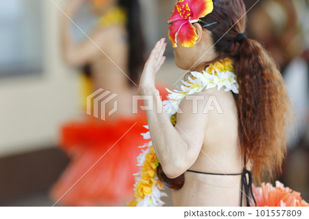 跳舞大溪地舞蹈的女性手 101557809