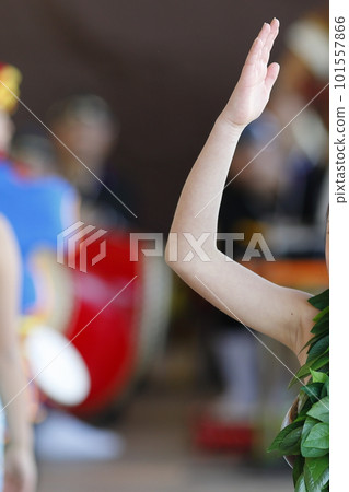 Female hands dancing Tahitian dance Female hands dancing Tahitian dance 101557866