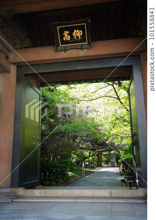 Yushima Cathedral Yushima Cathedral 101558841
