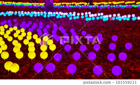 Colored glowing balls garlands in the city park. street light color festival decoration Colored glowing balls garlands in the city park. street light color festival decoration 101559211
