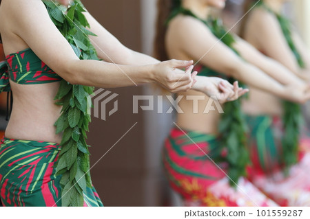Woman's hand dancing hula Woman's hand dancing hula 101559287