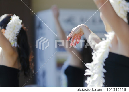 女子手舞草裙舞 女子手舞草裙舞 101559316