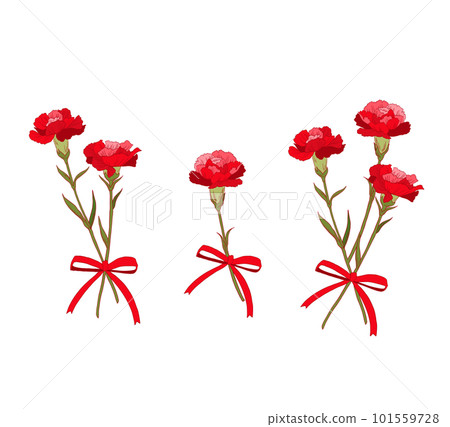 紅色康乃馨花束佈置套裝 101559728