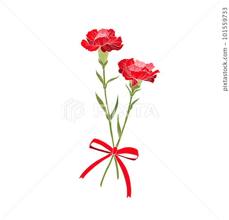 兩朵紅色康乃馨的花束插圖 101559733