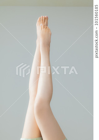 年輕女子的腿腿身體部位 年輕女子的腿腿身體部位 101560185