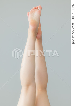 年輕女子的腿腿身體部位 年輕女子的腿腿身體部位 101560192