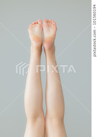 年輕女子的腿腿身體部位 年輕女子的腿腿身體部位 101560194