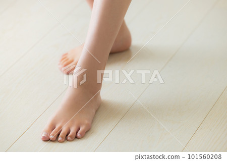 年輕女性的腳 年輕女性的腳 101560208