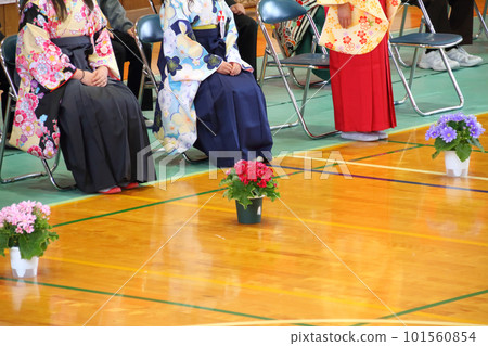 Elementary school graduation ceremony Japanese girl student 101560854