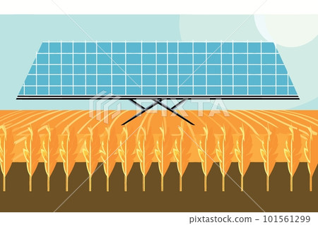 solar energy panels on a wheat field solar energy panels on a wheat field 101561299
