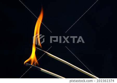 Burning wood match on a dark background close-up. burning tree fire Burning wood match on a dark background close-up. burning tree fire 101561374