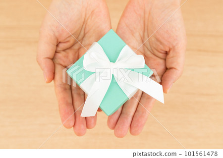 Hands of a senior woman holding a gift 101561478