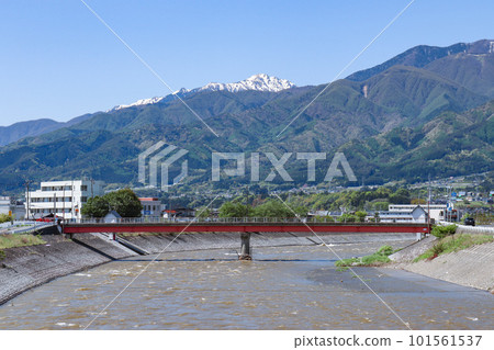 天龍川櫻花橋(長野縣伊那市) 天龍川櫻花橋(長野縣伊那市) 101561537