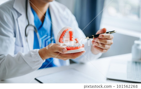 Dentist sitting at table with jaw samples tooth model and working with tablet and laptop in dental office professional dental clinic. medical doctor working. Dentist sitting at table with jaw samples tooth model and working with tablet and laptop in dental office professional dental clinic. medical doctor working. 101562268
