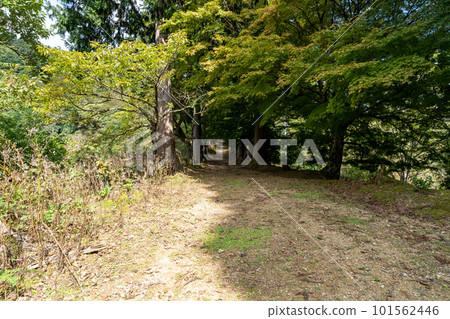 京都 Kimio 山和 Komyo-ji Temple 京都 Kimio 山和 Komyo-ji Temple 101562446