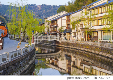 清晨的城崎溫泉街景，有味道的垂柳 101562976