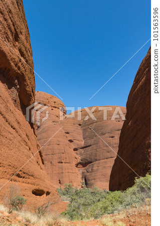 Valley of the Winds of the Orga Rocks, Central Australia Valley of the Winds of the Orga Rocks, Central Australia 101563596