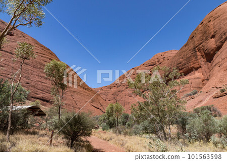 Valley of the Winds of the Orga Rocks, Central Australia Valley of the Winds of the Orga Rocks, Central Australia 101563598
