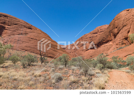 Valley of the Winds of the Orga Rocks, Central Australia Valley of the Winds of the Orga Rocks, Central Australia 101563599