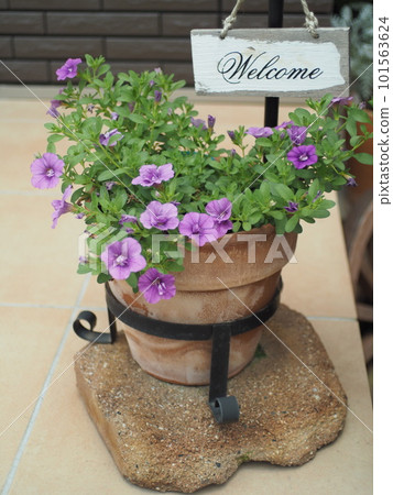 cute group planting cute group planting 101563624