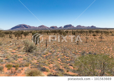 Distant view of Central Australia Olga Rocks Distant view of Central Australia Olga Rocks 101563669