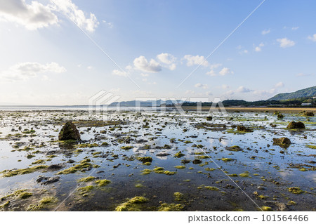 沖繩縣石垣島的風景 101564466