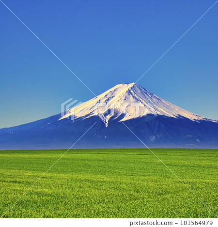 Rural scenery of Hokkaido and Mt. Fuji composition 101564979