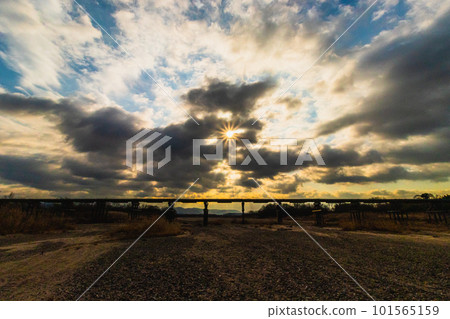 冬天的木津川河橋 101565159