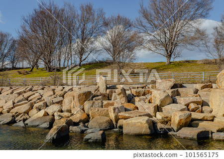 淀川河口公園風光 101565175