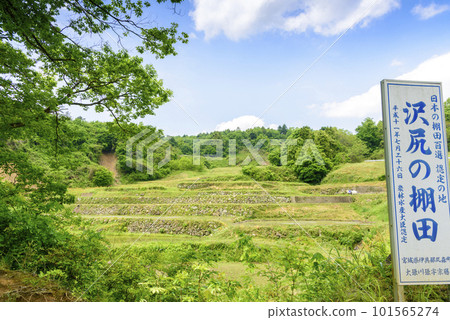 宮城縣澤尻水稻梯田插秧前 101565274