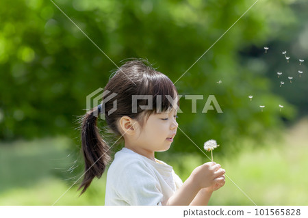 A girl with a dandelion in a fresh green park 101565828