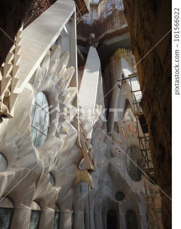 Sagrada Familia  101566022