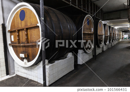 Barrels made of oak wood are in a winery 101566431