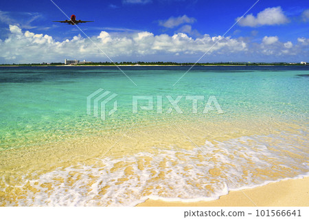 美麗的翠綠色珊瑚礁海 美麗的翠綠色珊瑚礁海 101566641