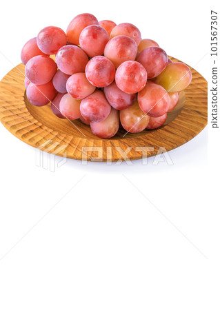 紅葡萄皇后妮娜 紅葡萄皇后妮娜 101567307