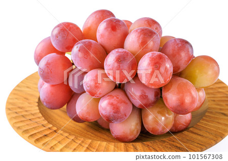 Red Grape Queen Nina Red Grape Queen Nina 101567308