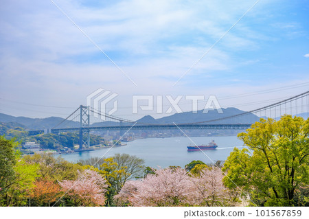 Kanmon Straits viewed from Hinoyama Park Turkey Tulip Garden in spring with cherry blossoms Kanmon Straits viewed from Hinoyama Park Turkey Tulip Garden in spring with cherry blossoms 101567859